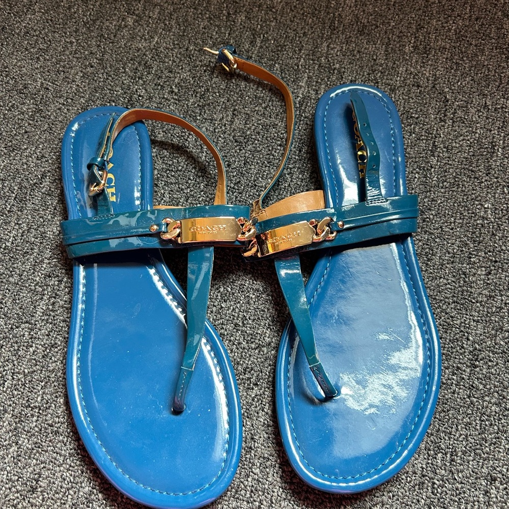 Coach Blue and Tan Sandals